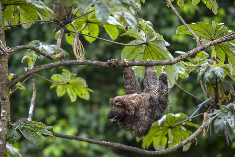 Como escrever objetivos de aprendizagem